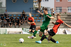 HFC_vs_StahlRiesa-15