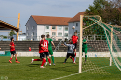 HFC-_vs_SGDresdenStriesen-51