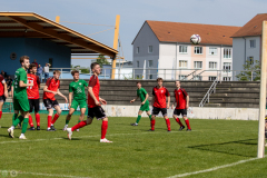 HFC-_vs_SGDresdenStriesen-63