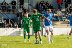 HFC_vs_TapferLeipzig-075