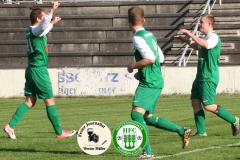 2017-09-30 Hoyerswerdaer FC I in grün - Königswarthaer SV in weiß 3:1 (2:0) Foto: Werner Müller