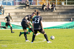 HFC_vs_PostDresden-73